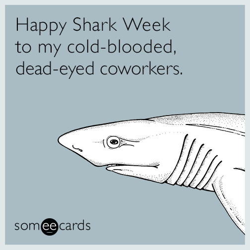 Happy Shark Week to my cold-blooded, dead-eyed coworkers.