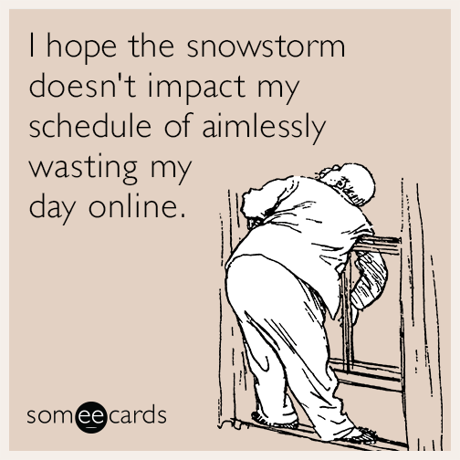 I hope the snowstorm doesn't impact my schedule of aimlessly wasting my day online.