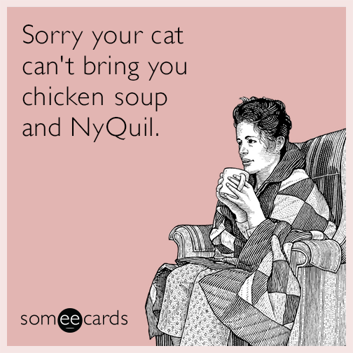 Sorry your cat can't bring you chicken soup and NyQuil.
