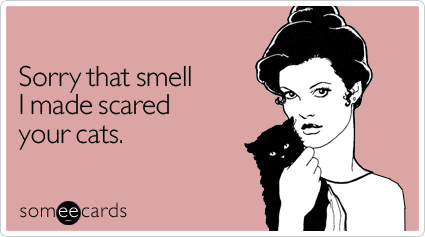 Sorry that smell I made scared your cats