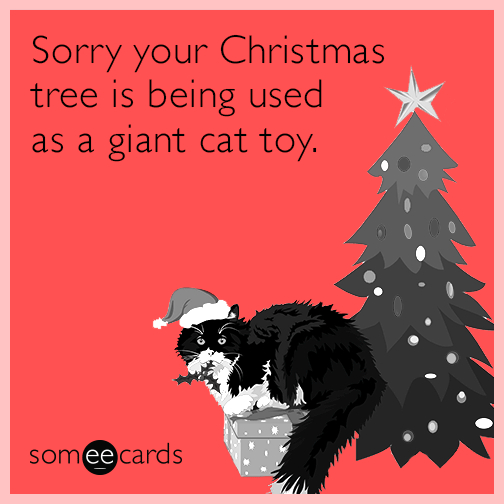 Sorry your Christmas tree is being used as a giant cat toy.