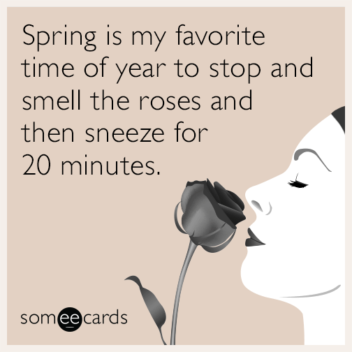 Spring is my favorite time of year to stop and smell the roses and then sneeze for 20 minutes.