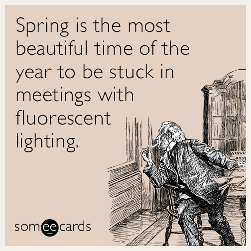 Spring is the most beautiful time of the year to be stuck in meetings with fluorescent lighting