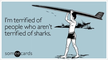 I'm terrified of people who aren't terrified of sharks