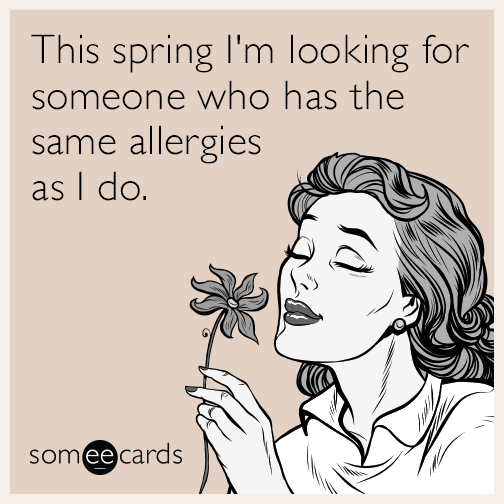 This spring I'm looking for someone who has the same allergies as I do.