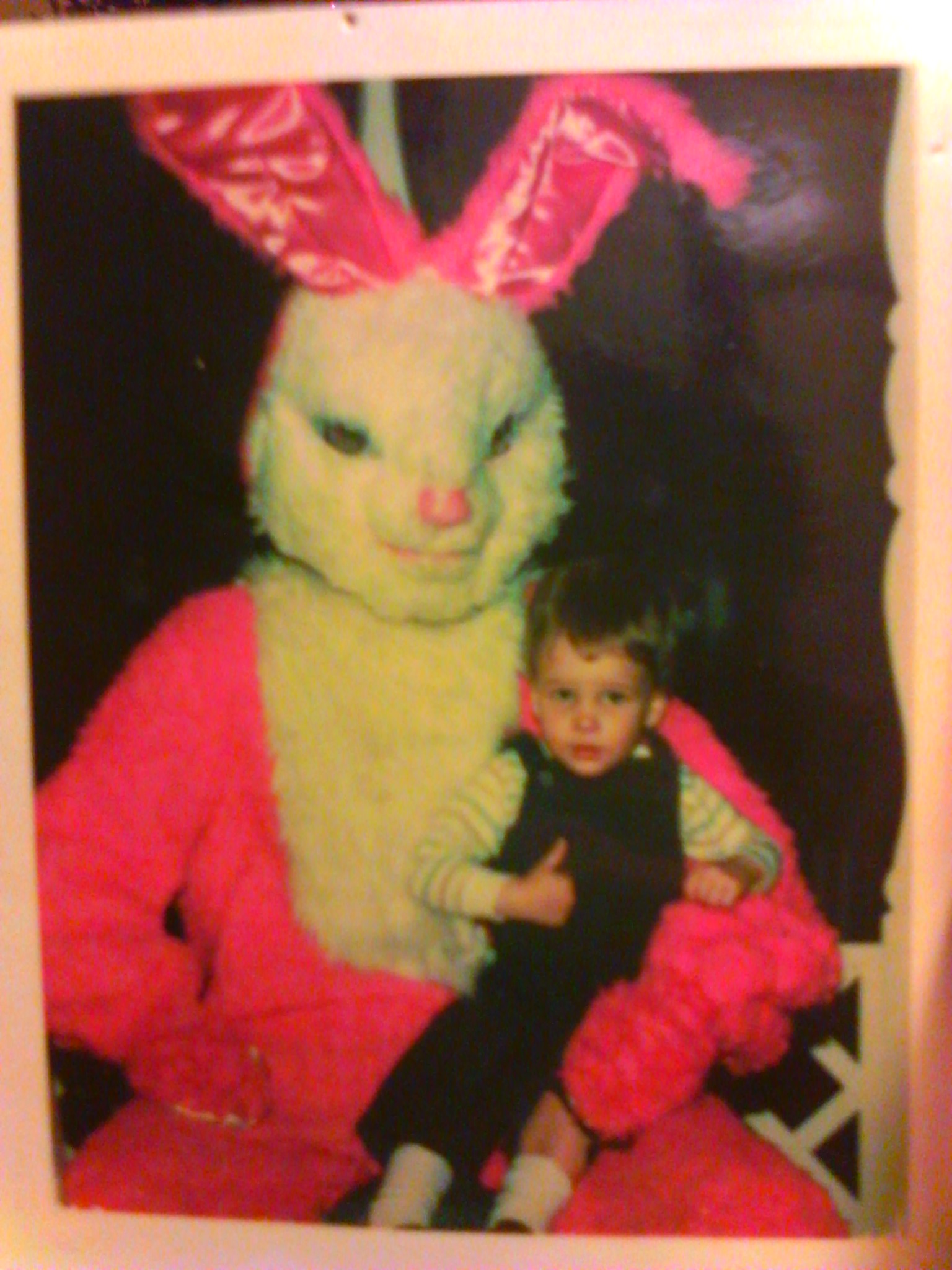 Download The best pictures of creepy Easter Bunnies scaring the ...