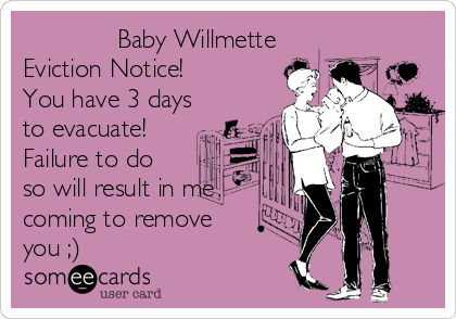 Baby Willmette Eviction Notice You Have 3 Days To Evacuate