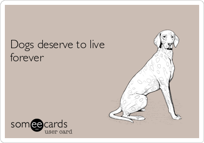 can a dog live forever