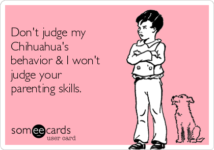 
Don't judge my 
Chihuahua's
behavior & I won't 
judge your 
parenting skills.