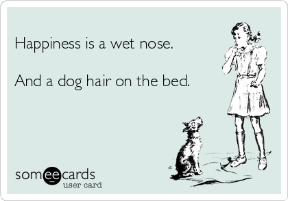 
Happiness is a wet nose.

And a dog hair on the bed.