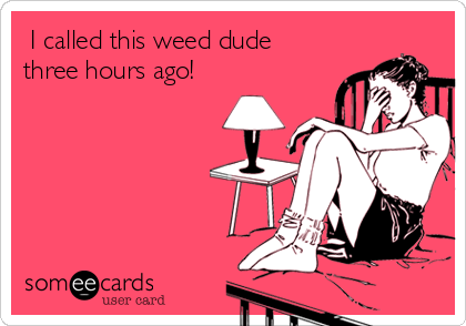  I called this weed dude
three hours ago!