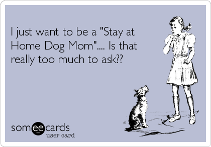 
I just want to be a "Stay at  
Home Dog Mom".... Is that
really too much to ask??