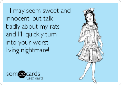   I may seem sweet and 
innocent, but talk
badly about my rats
and I'll quickly turn
into your worst 
living nightmare!