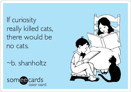 
If curiosity
really killed cats,
there would be
no cats.

~b. shanholtz