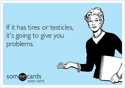                 

If it has tires or testicles,
it's going to give you 
problems.