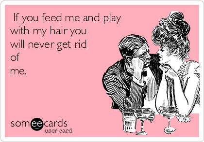 If you feed me and play with my hair you will never he rid of me. | Flirting Ecard If you feed me and play with my hair you will never he rid of me. | Flirting Ecard