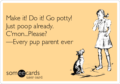 
Make it! Do it! Go potty!
Just poop already.
C'mon...Please? 
—Every pup parent ever