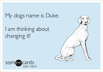 
My dogs name is Duke. 

I am thinking about
changing it!