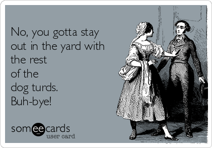 
No, you gotta stay
out in the yard with
the rest 
of the
dog turds.
Buh-bye!