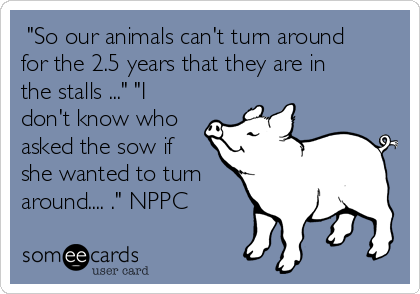  "So our animals can't turn around
for the 2.5 years that they are in
the stalls ..." "I
don't know who
asked the sow if
she wanted to turn
around.... ." NPPC
