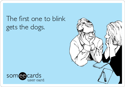 
The first one to blink
gets the dogs.