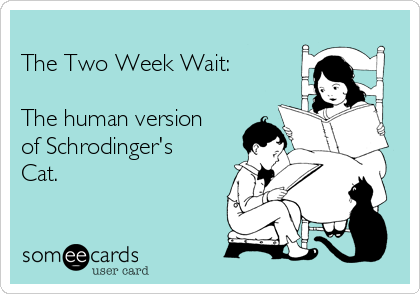 
The Two Week Wait:

The human version
of Schrodinger's
Cat.