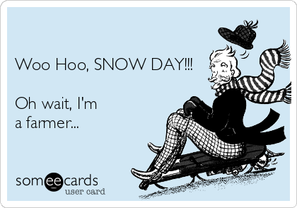 

Woo Hoo, SNOW DAY!!! 

Oh wait, I'm
a farmer...