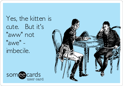 
Yes, the kitten is
cute.   But it's
"aww" not
"awe" - 
imbecile. 