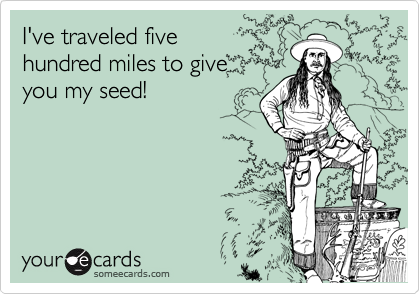 I've traveled five   
hundred miles to give
you my seed!