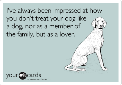 I've always been impressed at how you don't treat your dog like
a dog, nor as a member of
the family, but as a lover. 
