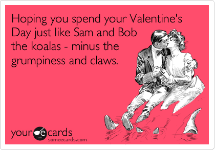 Hoping you spend your Valentine's Day just like Sam and Bob
the koalas - minus the
grumpiness and claws.