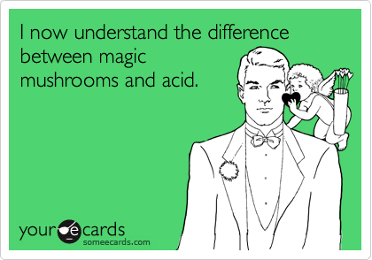 I now understand the difference between magic
mushrooms and acid.