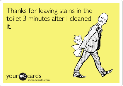 Thanks for leaving stains in thetoilet 3 minutes after I cleanedit.