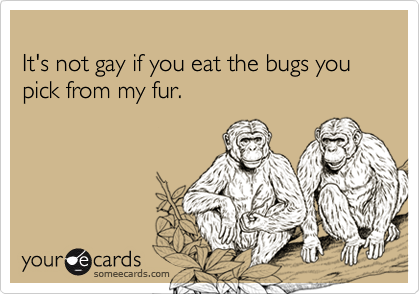 
It's not gay if you eat the bugs you pick from my fur.