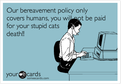 Our bereavement policy only covers humans, you will not be paid for your stupid cats
death!!