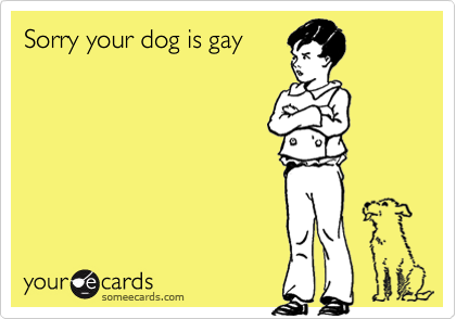 Sorry your dog is gay