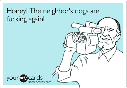 Honey! The neighbor's dogs are fucking again!