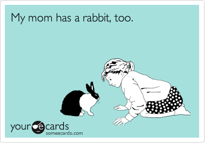 My mom has a rabbit, too.