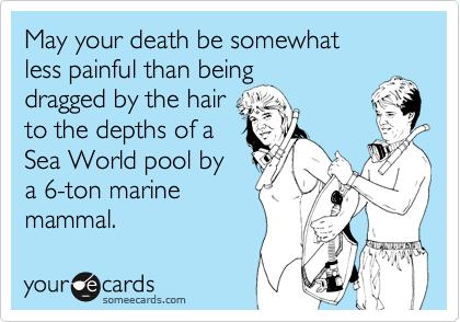 May your death be somewhat 
less painful than being
dragged by the hair
to the depths of a
Sea World pool by
a 6-ton marine
mammal.