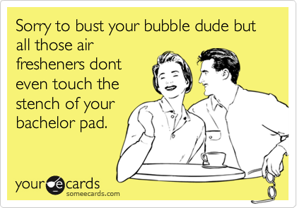 Sorry to bust your bubble dude but all those air
fresheners dont
even touch the
stench of your
bachelor pad.