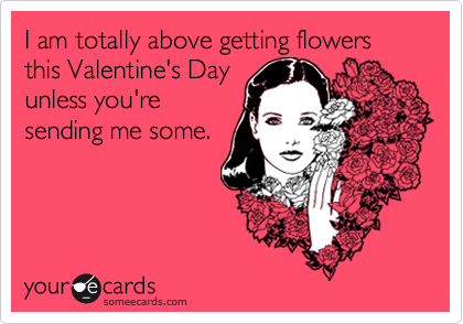 I am totally above getting flowers this Valentine's Day
unless you're
sending me some.