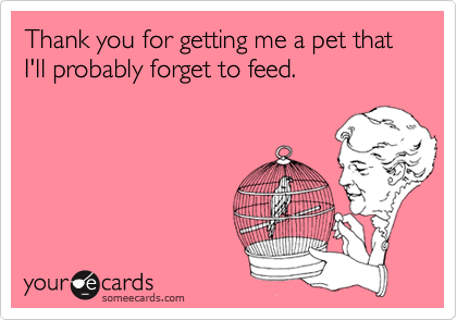 Thank you for getting me a pet that I'll probably forget to feed.