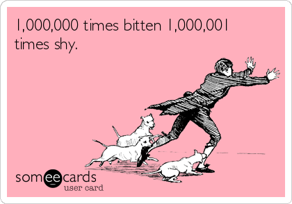 1 000 000 Times Bitten 1 000 001 Times Shy Reminders Ecard