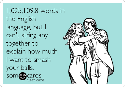 1,025,109.8 words in
the English
language, but I
can't string any
together to
explain how much
I want to smash
your balls. 