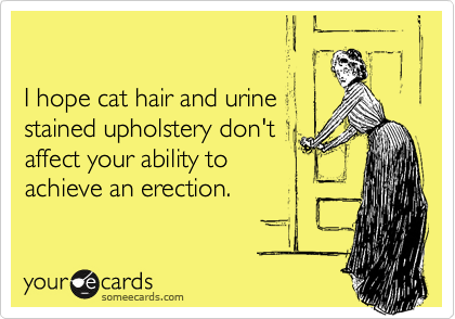 

I hope cat hair and urine
stained upholstery don't
affect your ability to
achieve an erection.