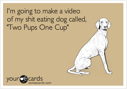 I'm going to make a videoof my shit eating dog called, "Two Pups One Cup"