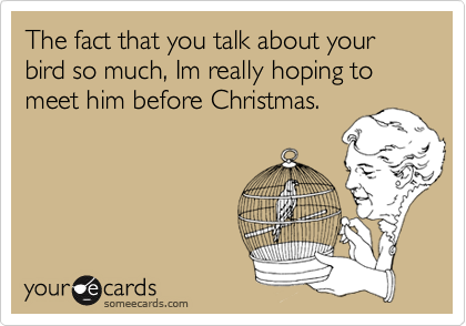 The fact that you talk about your bird so much, Im really hoping to meet him before Christmas.