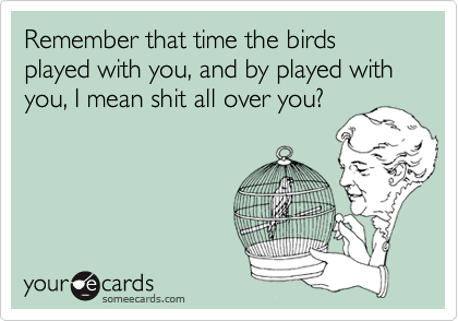 Remember that time the birds played with you, and by played with you, I mean shit all over you?