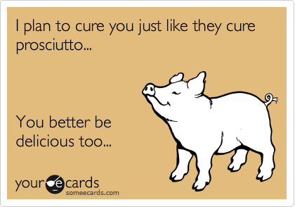 I plan to cure you just like they cure prosciutto...



You better be
delicious too...