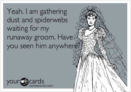 Yeah. I am gathering
dust and spiderwebs
waiting for my
runaway groom. Have
you seen him anywhere?
